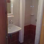 вила елфи