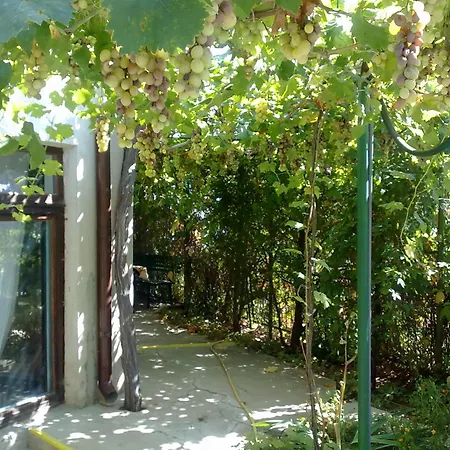 вила елфи Къща за гости Златни пясъци