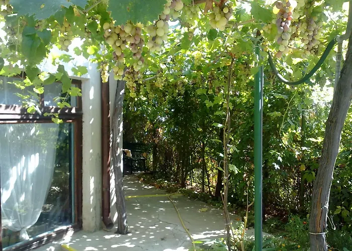 Elfi Affittacamere Golden Sands