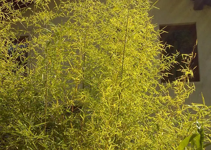 Affittacamere Elfi 2*